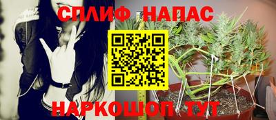 СК Донецк