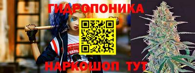 кокс Дубна