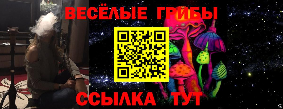 Галлюциногенные грибы Psilocybe Сердобск